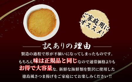 訳あり さつま揚げ 約900g セット 冷凍 さつま揚げ