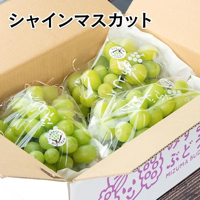 【先行予約】シャインマスカット約1kg 2～3房 西都産完熟ぶどう 水間ぶどう園＜16-2a＞