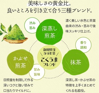 054-19　抹茶入り 深蒸し濃い茶 ティーバッグ 2種