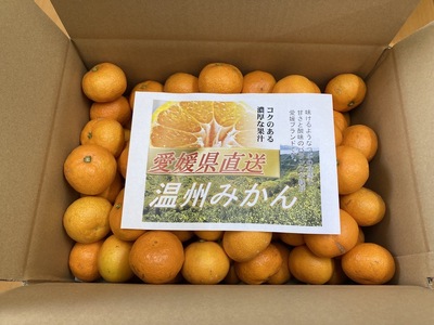【2026年先行予約】訳あり 温州みかん 5kg ご家庭用 【2026年11月上旬以降発送】 人気 愛媛 みかん 柑橘 伊予市｜B149