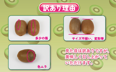 訳あり キウイ フルーツ 約4kg 杉本屋 【 訳あり キウイ 】F012-143002