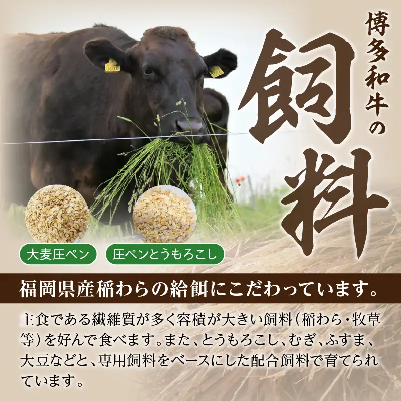 博多和牛 肩ロース焼肉用【A8-088】