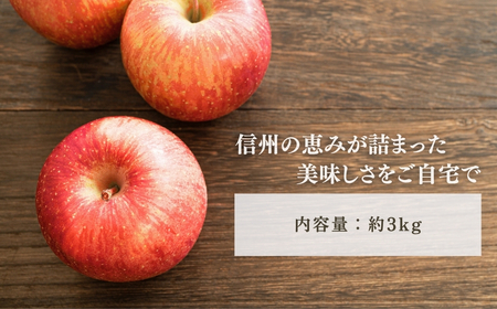 【2026年先行予約】りんご サンふじ  約 3kg|りんご 