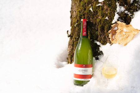 ★数量限定★ シードル：CIDRE【芽室町松下リンゴ園産リンゴ100％】750ml×1本(箱入) 北海道 十勝 芽室町me032-046c