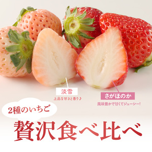 玄海町産白いちご「淡雪」と「さがほのか」ギフトセット｜食べ比べ 白苺 果物 フルーツ 旬【D009】