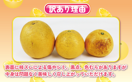 初夏の柑橘 訳あり 河内晩柑 みかん 10kg 杉本屋 柑橘 B010-143001