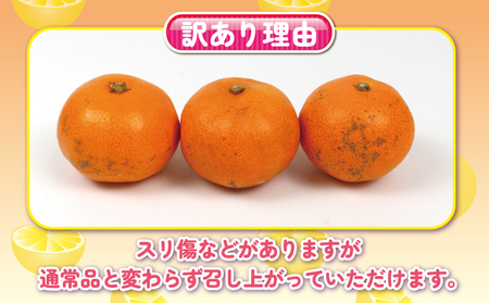 【ご家庭用】完熟プチみかん約5kg杉本屋 | みかん B010-143003