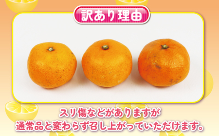 【みかん】訳あり完熟早生5kg杉本屋みかん|B010-143004