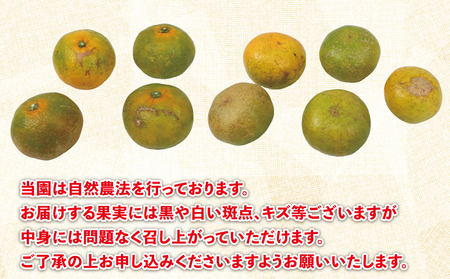 極早生みかん 5kg 先行予約 栽培期間中 農薬 化学肥料 除草剤 不使用 なかい果樹園 極早生みかん B012-144001