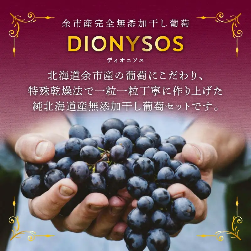 【ギフトボックス】余市産完全無添加干し葡萄DIONYSOS 12箱セット_Y050-0030