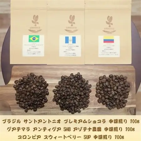 自家焙煎スペシャルティコーヒー(豆)【中深煎り】3種飲み比べセット　100g×3袋【1407716】