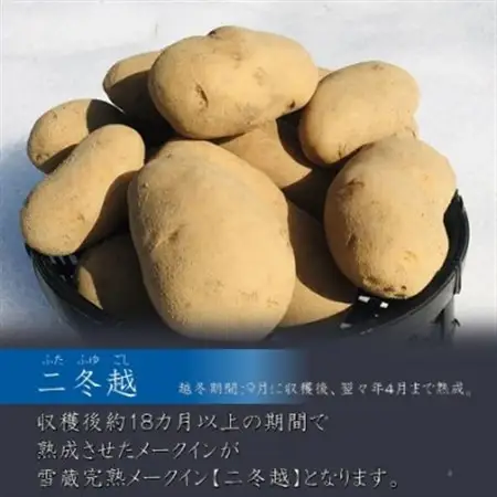 雪蔵甘熟メークイン二冬越 3kg箱入り(M～Lサイズ混)_野菜 じゃがいも いも ジャガイモ 馬鈴薯_【配送不可地域：離島】【1409988】
