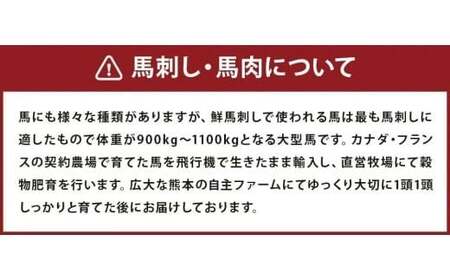 霜降り 馬刺し 約320g 90g×3～5個 タレ付き 鮮馬刺し 馬刺 熊本