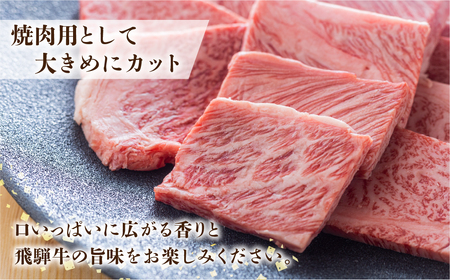 飛騨牛 A5等級 焼肉 霜降り 700g  焼肉 牛肉 [S427]