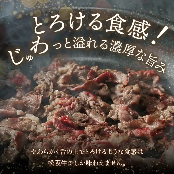 松阪牛小間切れ 600g [ 松阪牛 ] / 000380