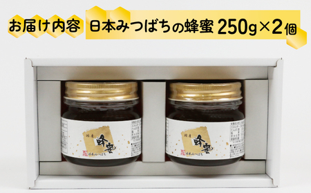 はちみつ 日本みつばちの蜜 2個 宇和島農産 国産 はちみつ│F020-132002