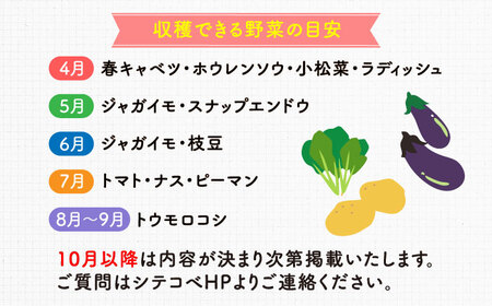三浦半島の野菜収穫体験【株式会社シテコベ】 [AKDQ001]