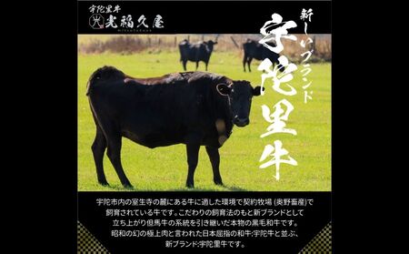 チルド 大和 宇陀里牛 切り落とし ドドンと 約900g ／ ふるさと納税 ふるさと 牛肉 肉 和牛 奈良県 宇陀市 光福久屋