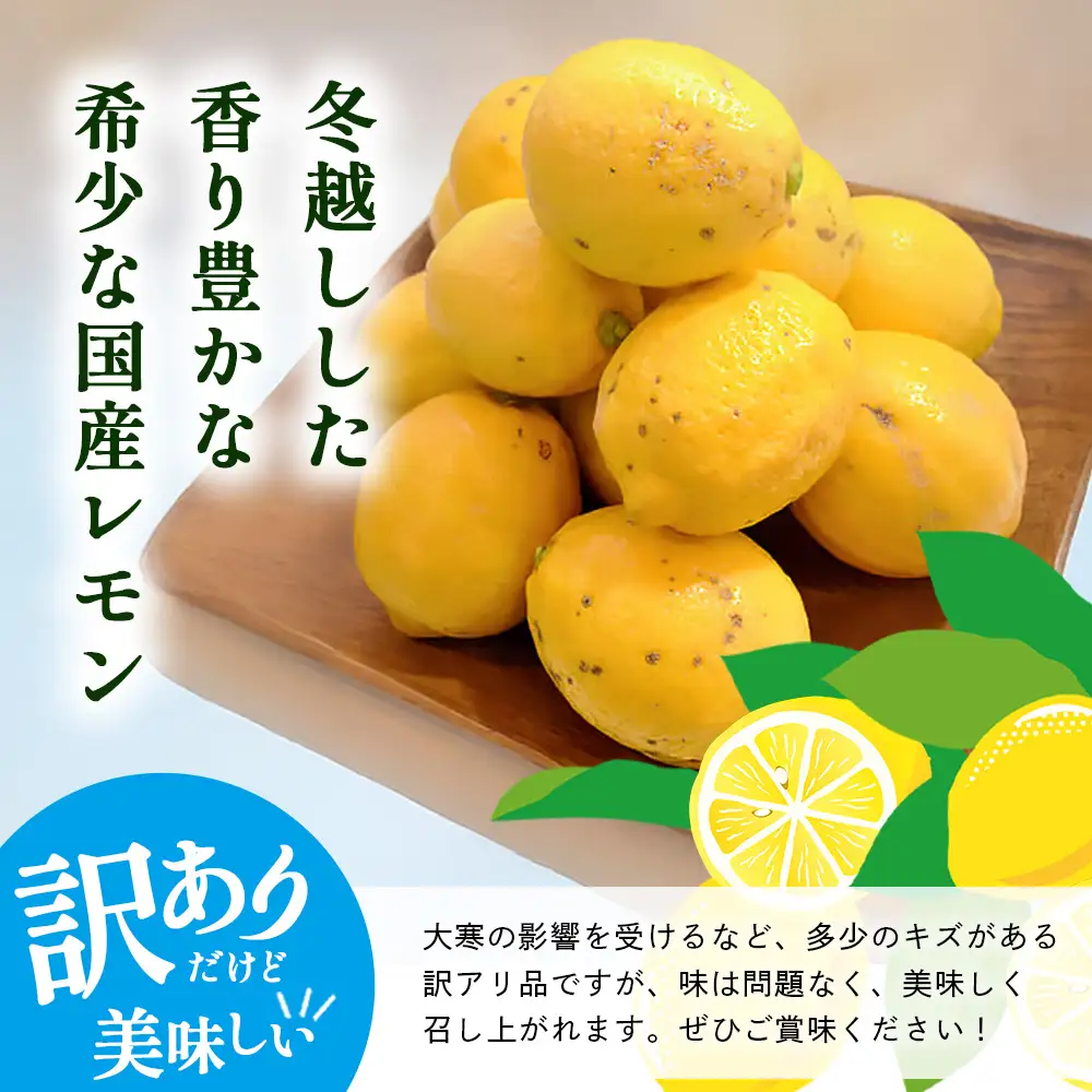 希少な国産レモン【宝韶寿レモン】訳アリ　約2kg（サイズ混合）【6月中旬より順次発送予定】柑橘 檸檬 ご自宅用 お菓子 料理 お酒 希少品種 佐賀県鹿島市 送料無料 B-127