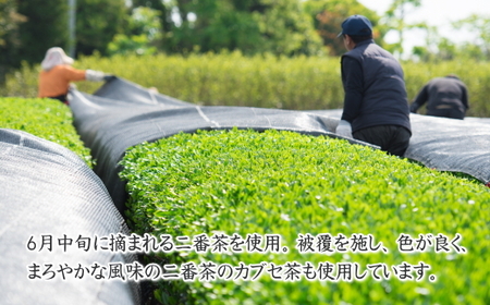 牧之原茶農家の自家用深むし茶200ｇ×5本