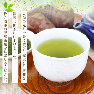 137-2 深蒸し茶 金印 5本 静岡県 牧之原市 マルイ伊藤製茶  