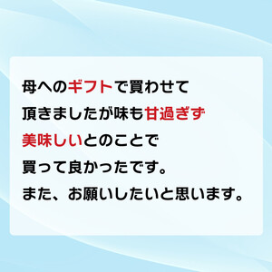 トコゼリー 詰合せ 16個 ゼリー  