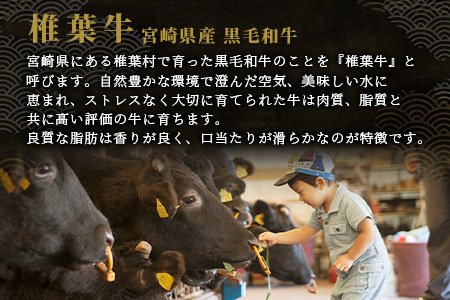宮崎県産 椎葉牛 赤身の角切りコロコロステーキ 500g A5等級指定 国産牛 黒毛和牛 和牛 牛肉 赤身 肉 A5 ステーキ 焼肉 TK-80