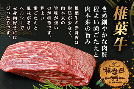 牛肉 【日本三大秘境の黒毛和牛】宮崎県産 椎葉牛 赤身ももブロック 500g A5等級指定 牛肉 牛もも肉 ももブロック肉 TK-81