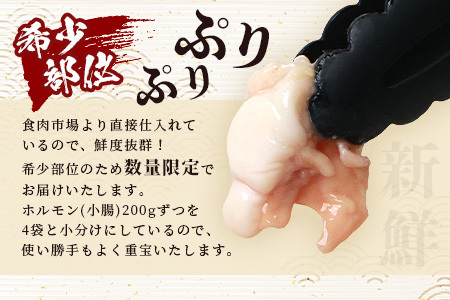 宮崎県産 椎葉牛 ぷりぷりホルモン（小腸）もつ鍋・焼肉用 200g×4P（800g）国産牛 ホルモン 牛モツ もつ もつ鍋 ホルモン単品 焼肉 BBQ TK-82
