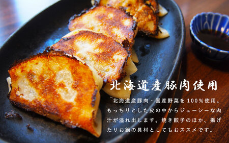 大きめ居酒屋餃子　600g　九州・沖縄配送不可【AN-001】