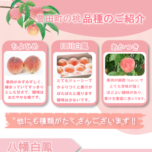 桃 約2kg 先行予約 7～9玉  L~3L くだもの 贈答用 下関 山口 HJ006