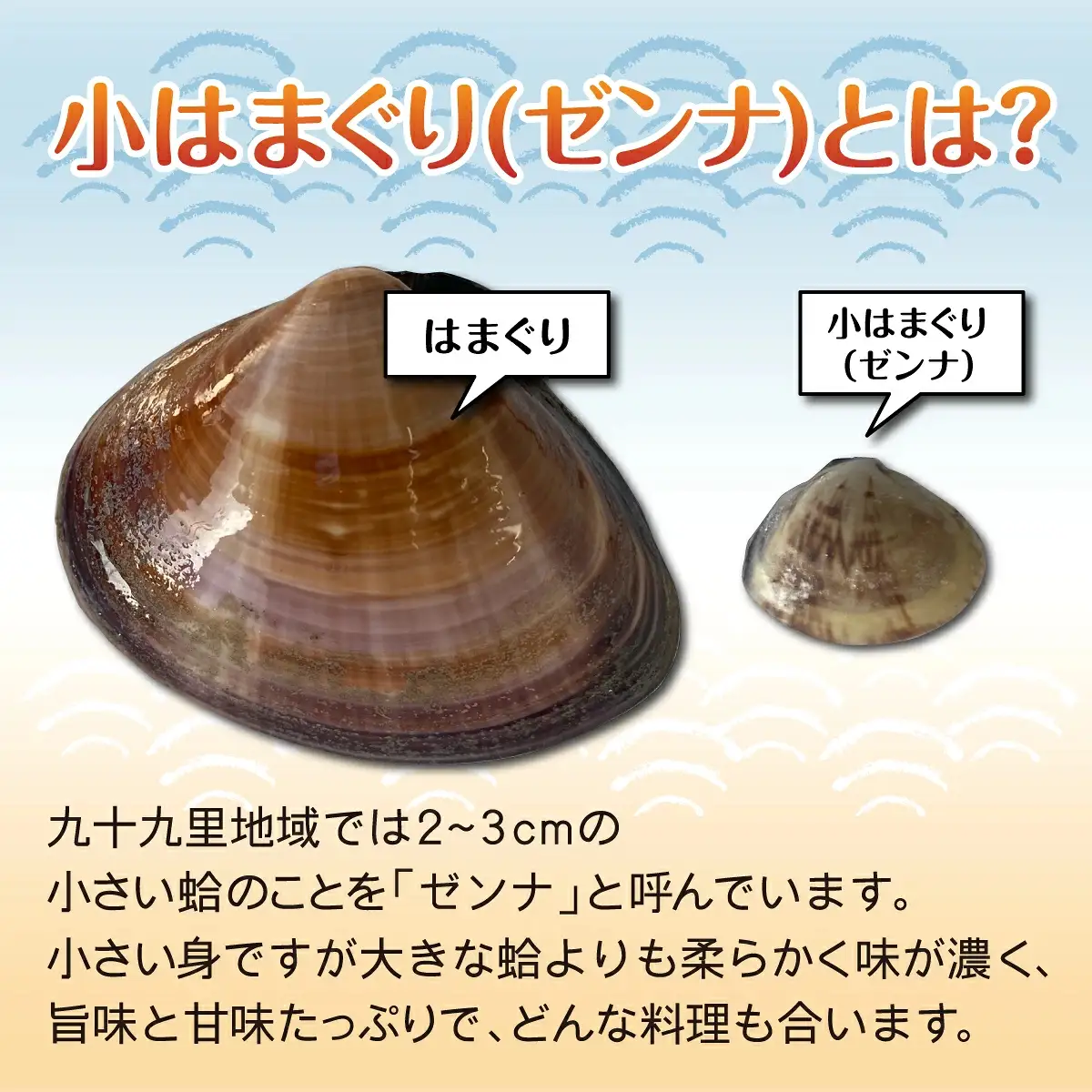 小はまぐり（ゼンナ）2kg（400g×5パック） SHF008