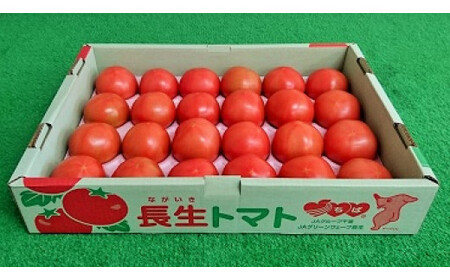 千葉県長生トマト4kg SHK003