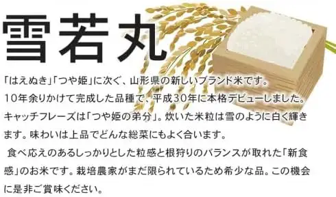 【令和8年産先行予約】 特別栽培米雪若丸 無洗米 10kg (5kg×2袋) ×6ヶ月【定期便】 山形県鶴岡産　鶴岡協同ファーム