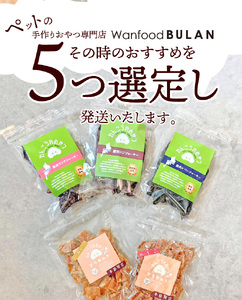 愛犬の手作りおやつ 大袋5点セット　全犬種対象 鹿肉 ペット ペットフード ジャーキー チップス 詰め合わせ Wanfood BULAN DK-0002