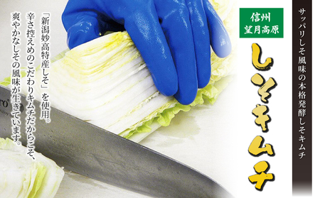 信州望月高原しそキムチ（３個セット）｜国産キムチ しそキムチ 発酵食品 漬物 信州キムチ 自家製キムチ 国産キムチ