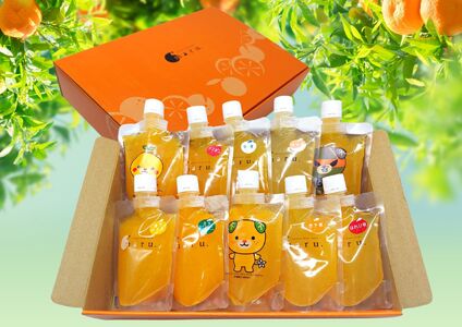 【ゼリー】 おまかせ10種 飲むみかんゼリー 詰め合わせ ｜愛媛県松山市【PT0322】