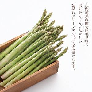 2026年産 柔らかくてみずみずしい朝取りグリーンアスパラ(春芽)3L 1kg【配送不可地域：離島】 AF028 | アスパラガス