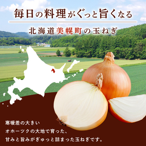 【 先行予約玉ねぎ】北海道産 玉ねぎ Lサイズ20kg [◆発送10月~2月] AF