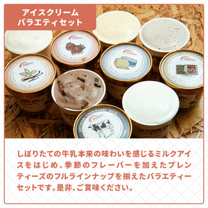 プレンティーズ バラエティアイスセット 5種10個 バニラ 生チョコレート ストロベリー クリームチーズ 茅ヶ崎しぼりたてミルク アイス アイスクリーム 氷菓 ひんやり お取り寄せ 送料無料 神奈川県 茅ヶ崎市 のし無