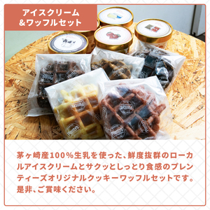 プレンティーズ アイスクリーム＆ワッフルセット 各5個 計10個 アイス バニラ 生チョコ ストロベリー クリームチーズ ミルク オリジナルクッキーワッフル ダブルショコラ アールグレイ チョコレート 送料無料 神奈川県 茅ヶ崎市 のし無