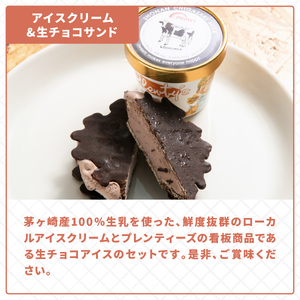 プレンティーズ 生チョコアイスサンド＆アイスクリームセット 各5個 計10個 生チョコ チョコレート チョコ ワッフルサンド アイス バニラ ストロベリー クリームチーズ ミルク ご当地 お取り寄せ 送料無料 神奈川県 茅ヶ崎市 のし有