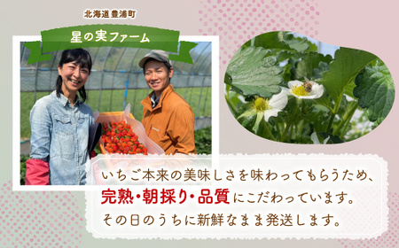 【2026.4月下旬以降順次出荷】北海道 豊浦 いちご 小玉 けんたろう 250g×4パック1箱 約1kg 