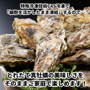 【生食用殻付き】 牡蠣 2kg 冷凍 真牡蠣