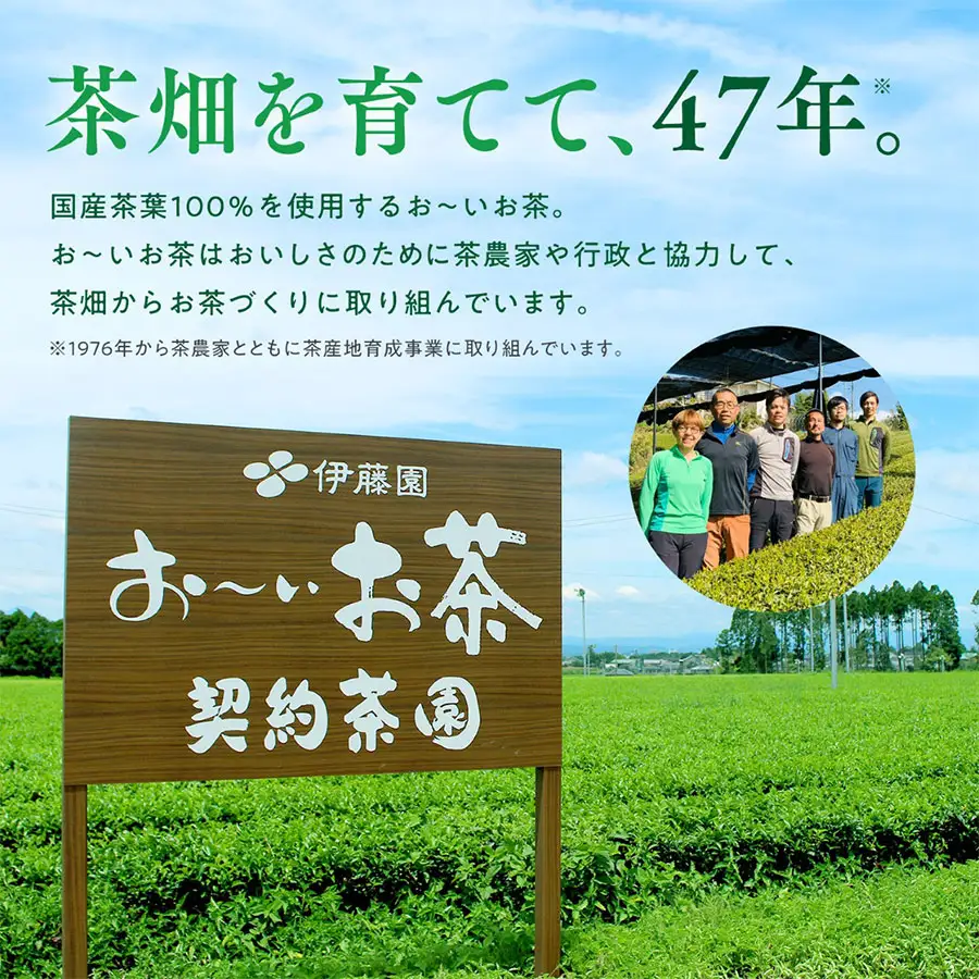 【定期便4回】おーいお茶 ほうじ茶 345ml×24本入 伊藤園