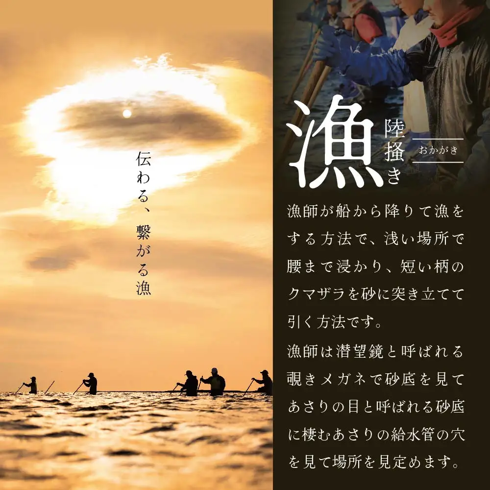  【冷凍】北海道　道東産 アサリ中 6kg 約 300g ×20 袋（北海道 あさり アサリ 人気 ふるさと納税 ）