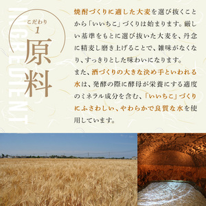 いいちこ 20度 パック(計21.6L・1.8L×12本)酒 お酒 むぎ焼酎 1800ml 麦焼酎 常温 いいちこ 三和酒類 紙パック【107304900】【時枝酒店】