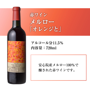 メルロー(720ml)ワイン 赤ワイン 酒 お酒 メルローワイン ぶどう 葡萄 メルロー 安心院産 安心院 小さなワイン工房ワイン【100800401】【百笑一喜】