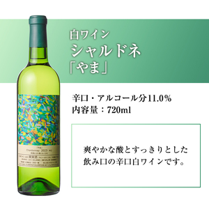 シャルドネ(720ml)ワイン 白ワイン 酒 お酒 シャルドネワイン 辛口 ぶどう 葡萄 安心院産 安心院 小さなワイン工房ワイン【100800501】【百笑一喜】