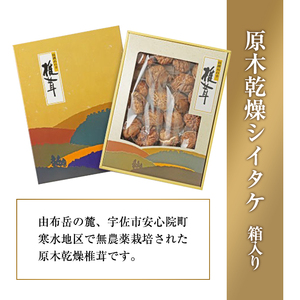 無農薬原木乾燥シイタケ・箱入り(約160g)原木 乾燥 干し椎茸 乾椎茸 しいたけ きのこ 出汁 大分県産【100801500】【百笑一喜】